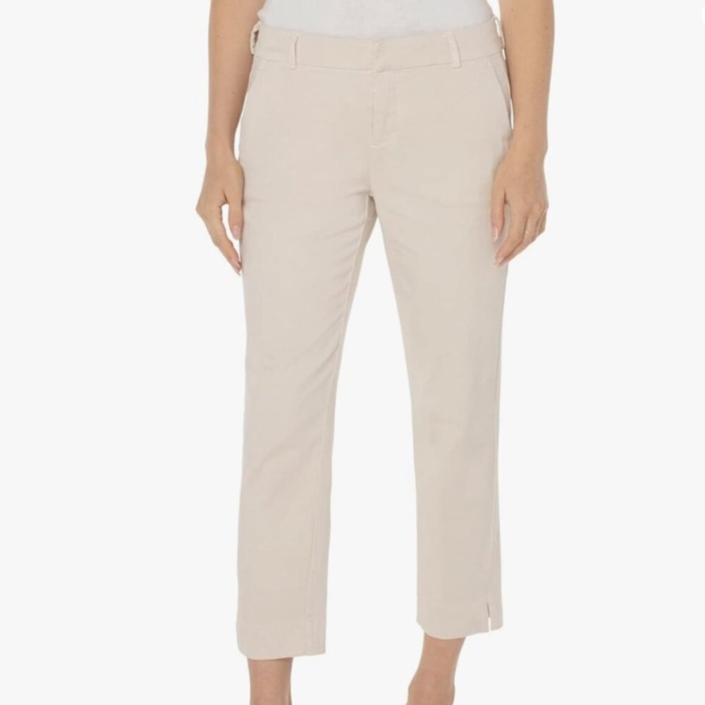 Liverpool  Cropped Wide Leg Trouser in Roman stone 10/30